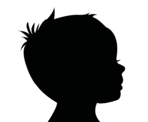 ficitief silhouette Albert Salomon Prins