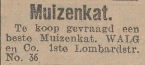 Advertentie waarin Andries Walg vraagt naar eeen Muizenkat.